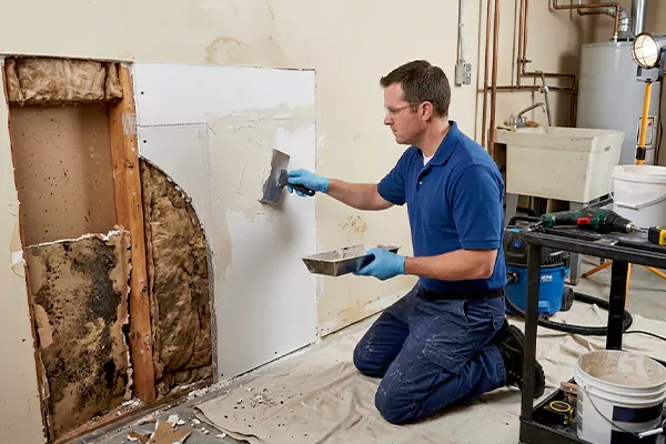 Mold and Drywall Repair Murrieta