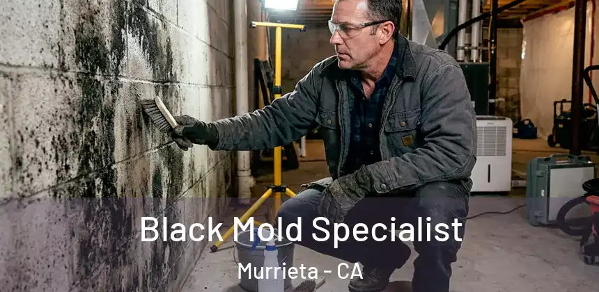  Black Mold Specialist Murrieta - CA