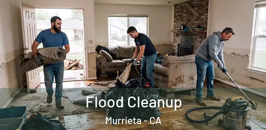  Flood Cleanup Murrieta - CA