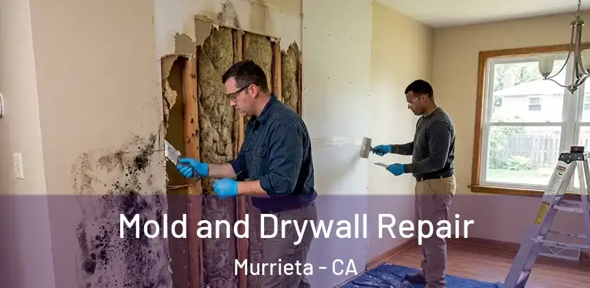  Mold and Drywall Repair Murrieta - CA