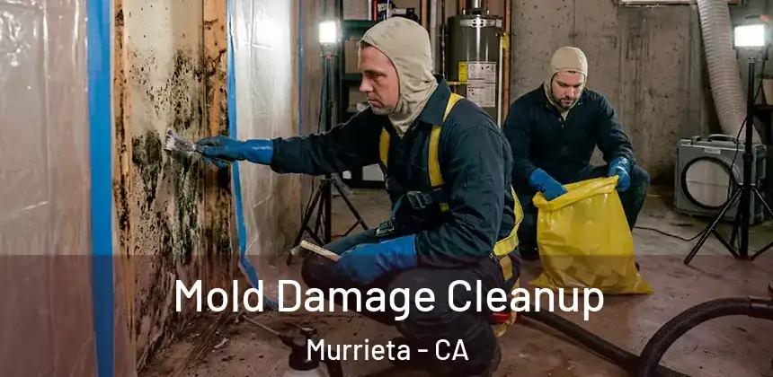 Mold Damage Cleanup Murrieta - CA