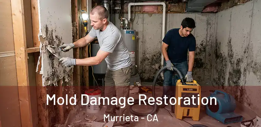 Mold Damage Restoration Murrieta - CA