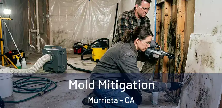  Mold Mitigation Murrieta - CA
