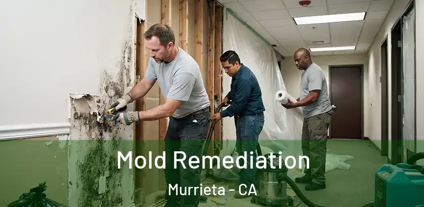 Mold Remediation Murrieta - CA