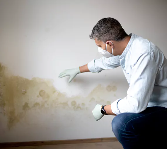 Mold Removal Service in Murrieta, CA