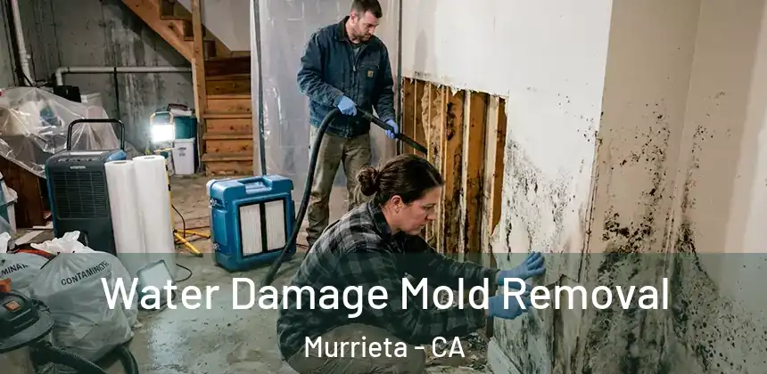  Water Damage Mold Removal Murrieta - CA
