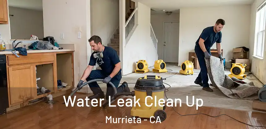  Water Leak Clean Up Murrieta - CA